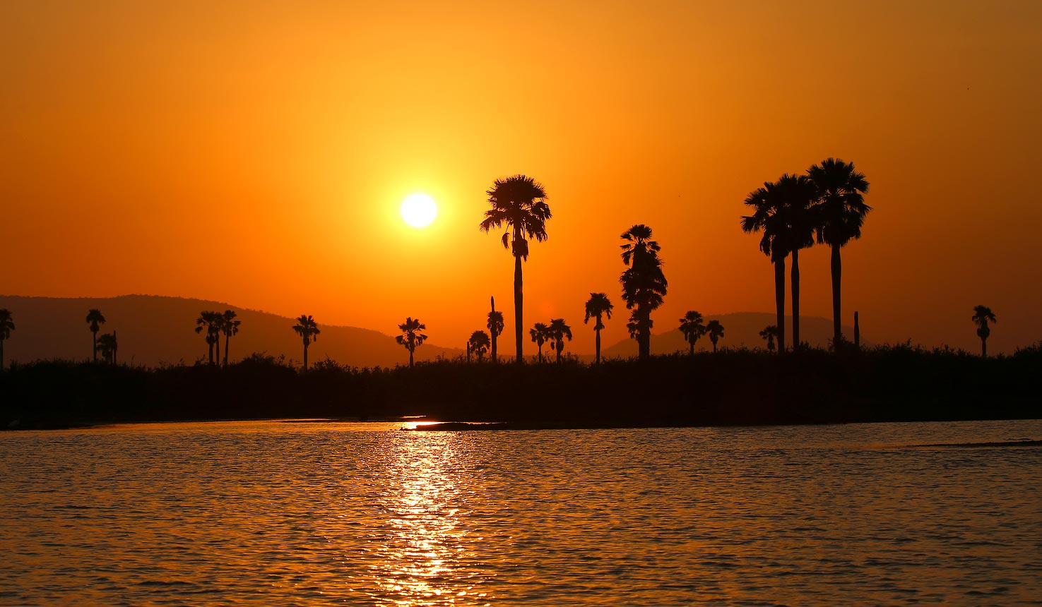 Boat Safari on the Rufiji River