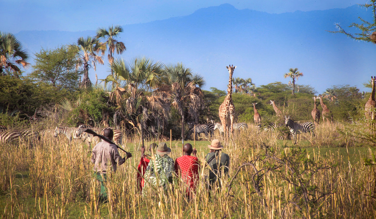 Walking Safari in the South