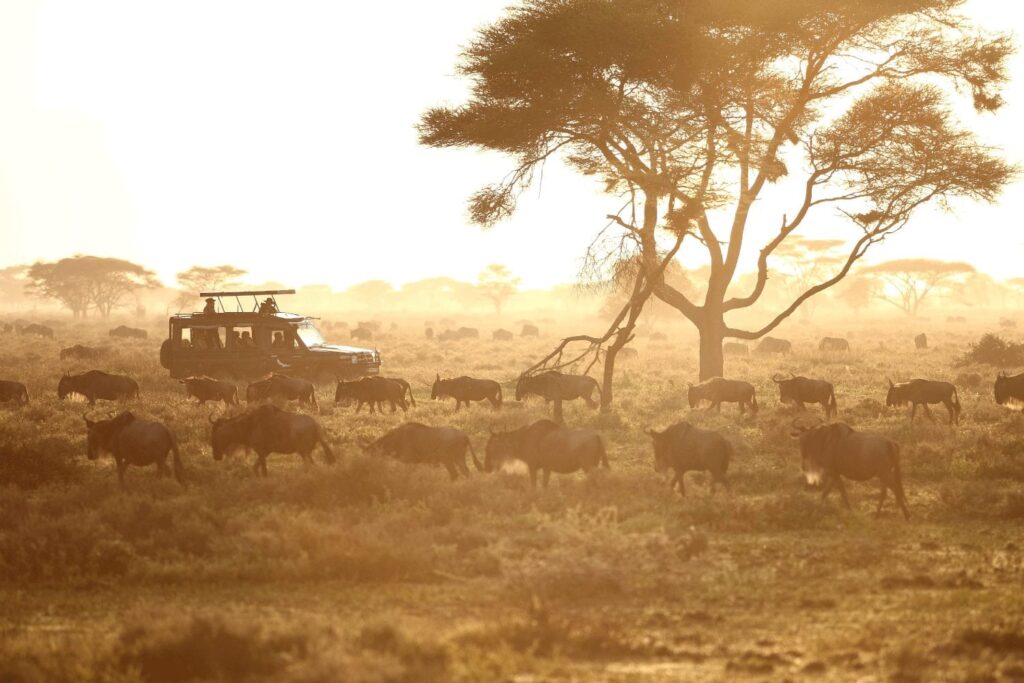 Tanzania Wildlife and Cultural Safari