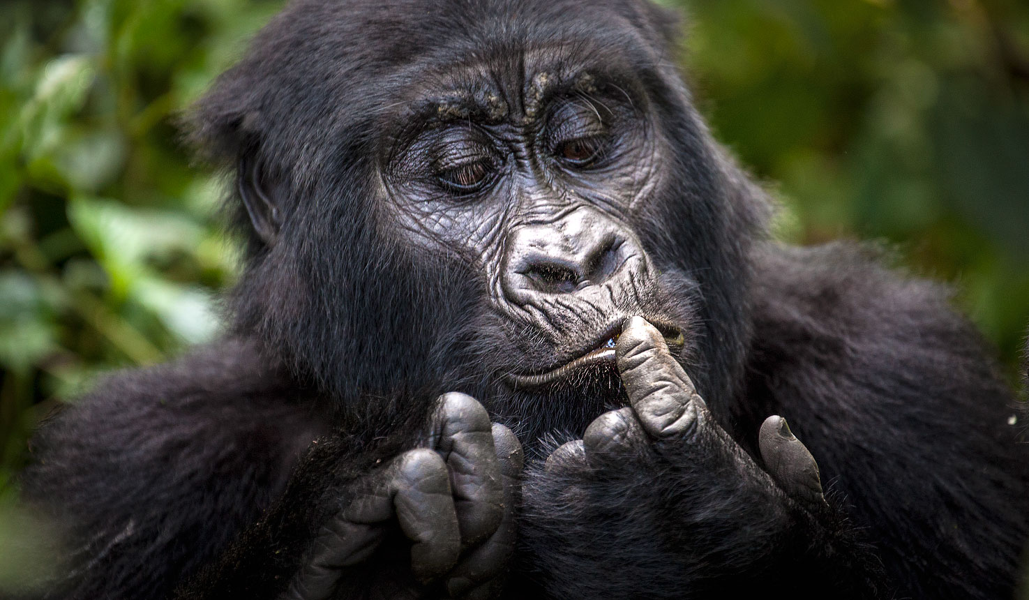 Uganda