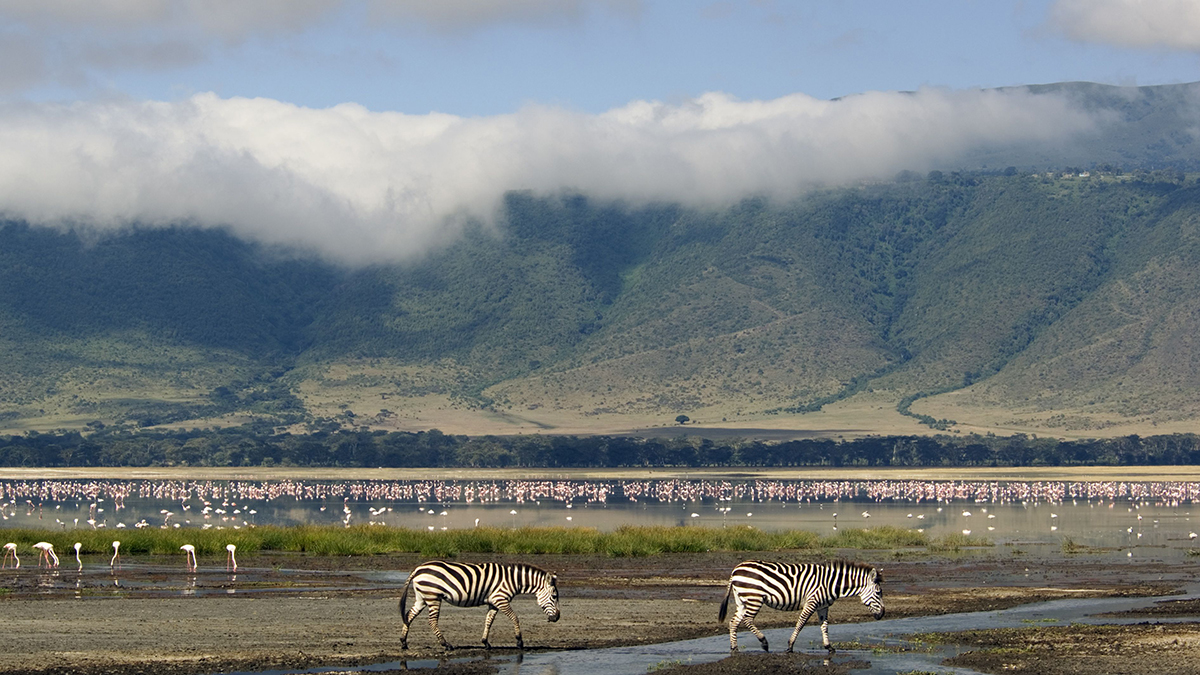 Ngorongoro Crater Drive