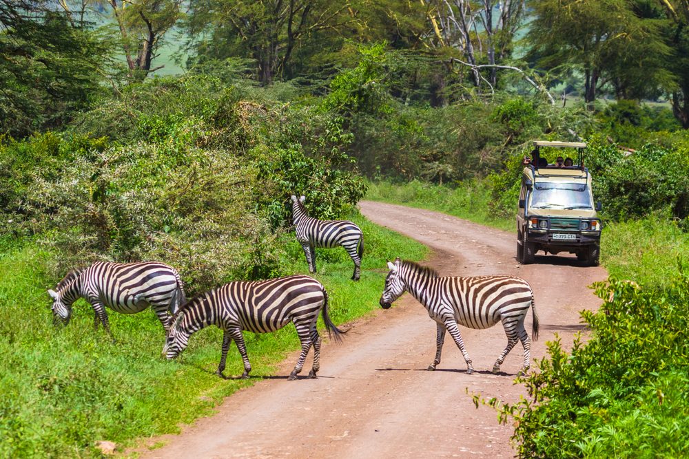 Arusha National Park & Mkomazi Rhino Sanctuary Safari
