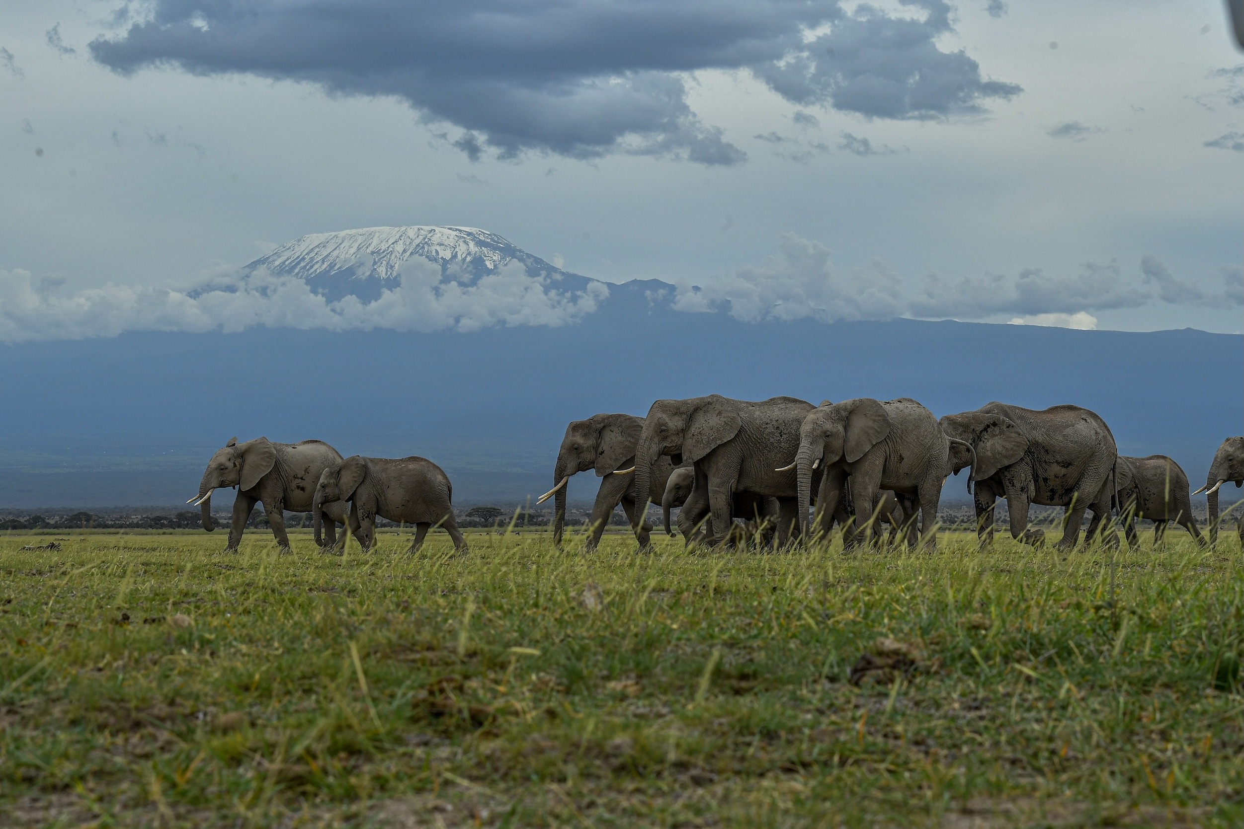 6-Day Explorer Kenya Safari