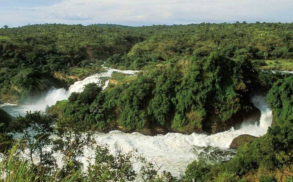 Murchison Falls, Ziwa Rhino Sanctuary & Nile Boat Cruise Safari