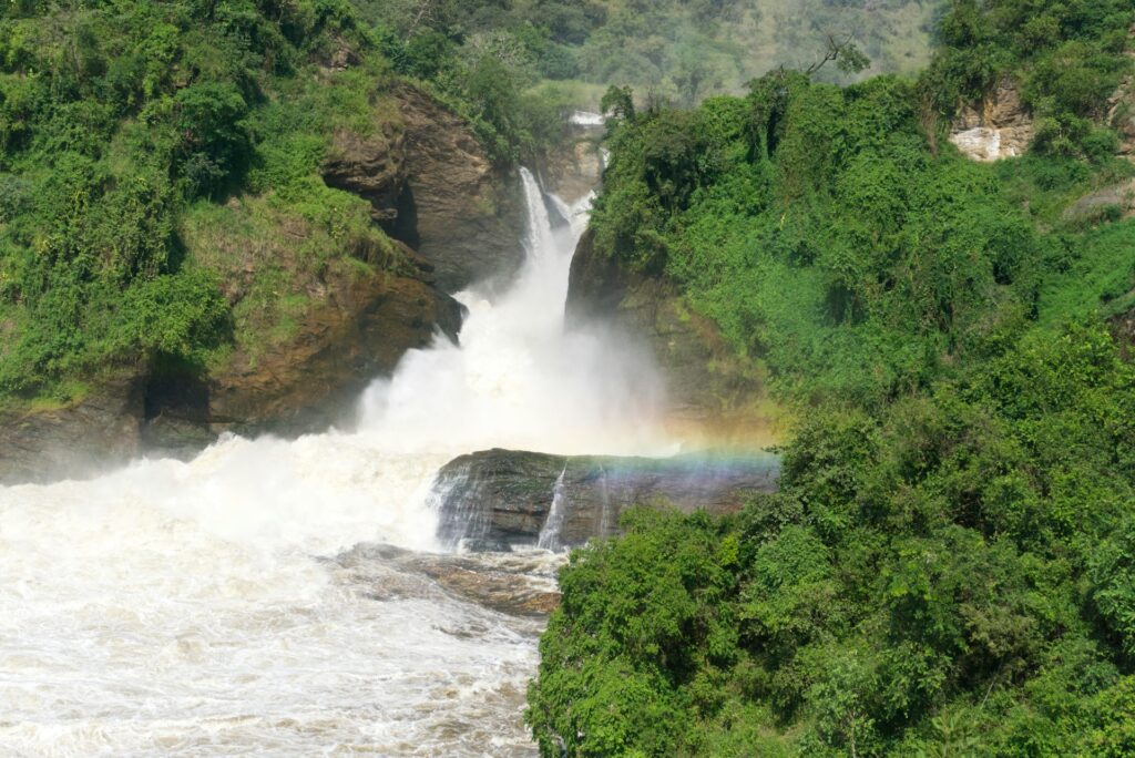 Murchison Falls, Ziwa Rhino Sanctuary & Nile Boat Cruise Safari
