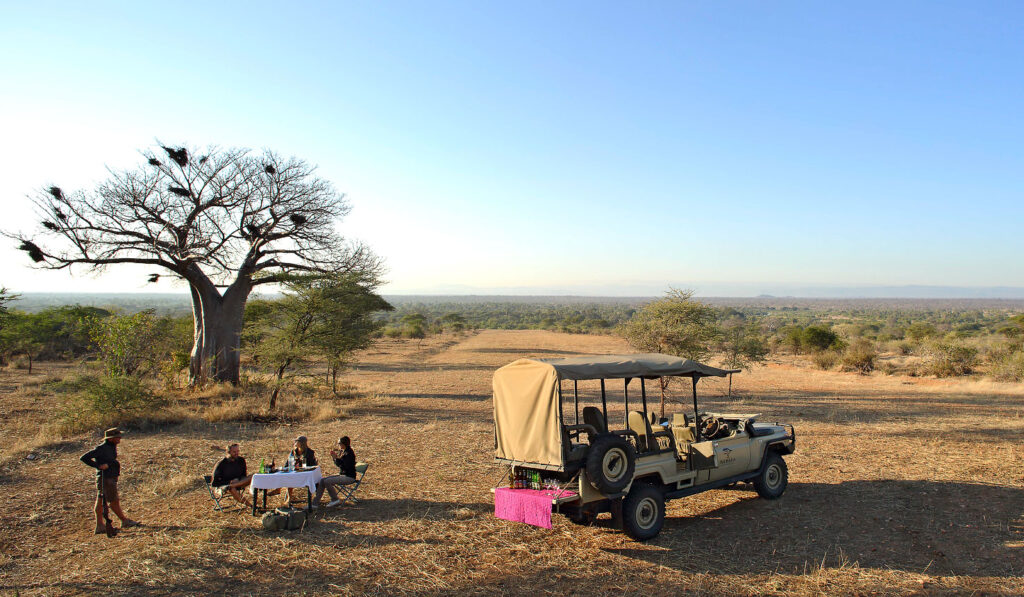 Fly-In Serengeti & Ngorongoro Crater Safari