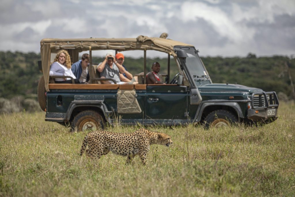 Luxury Safaris safari