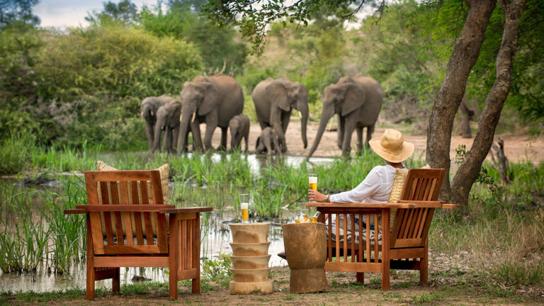 Luxury Safaris photograph