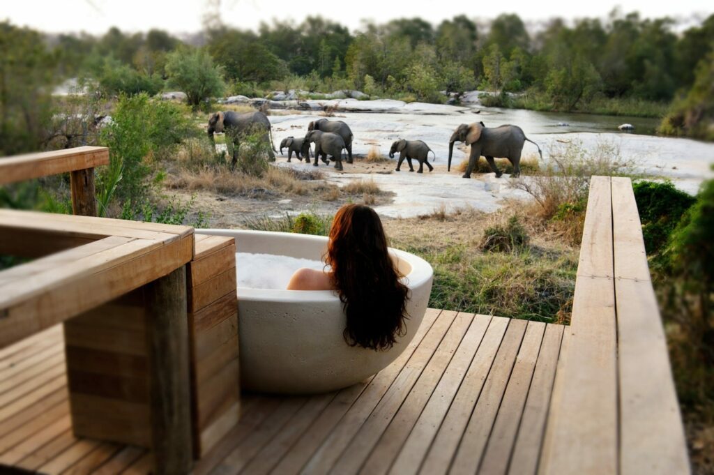 Luxury Safaris safari