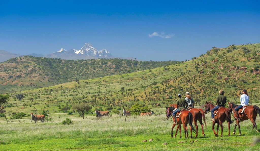 Luxury Safaris safari